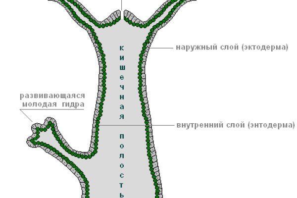 Зеркало крамп in.kraken6.at kraken7.at kraken8.at